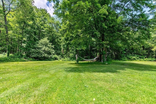 67 Main St, Atkinson, NH 03811 - view of grassy yard featuring a view of trees