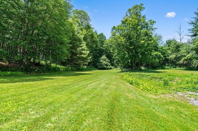 67 Main St, Atkinson, NH 03811 - view of green lawn featuring a wooded view