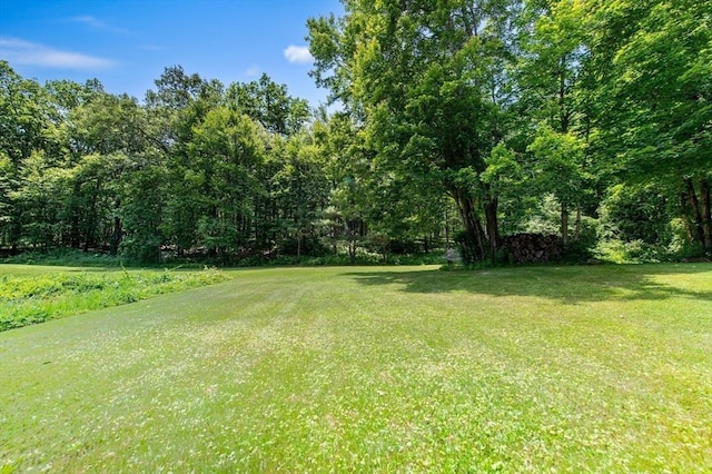 67 Main St, Atkinson, NH 03811 - view of grassy yard