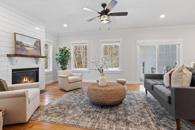 living room featuring a fireplace, wood finished floors, baseboards, and ornamental molding