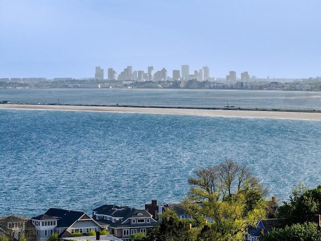 water view featuring a skyline view