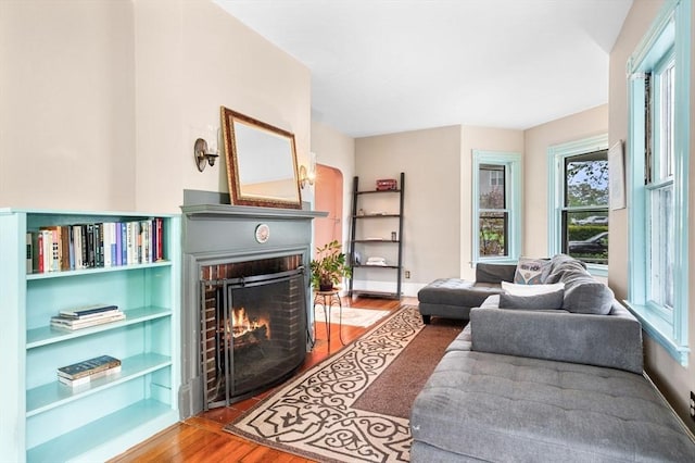 living area featuring wood finished floors and a fireplace