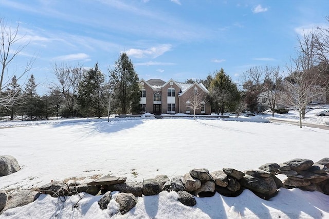 view of snowy yard