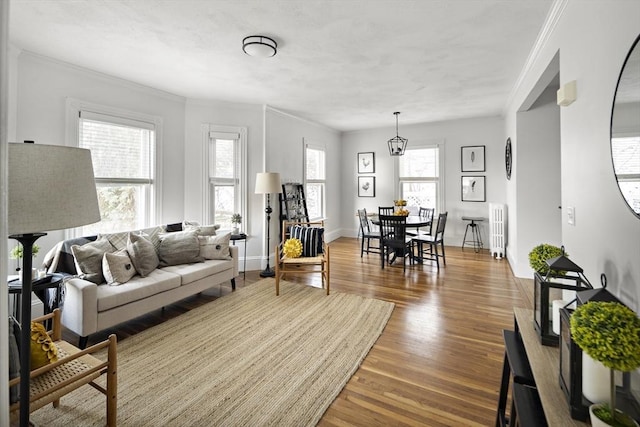 living room with ornamental molding, radiator heating unit, and hardwood / wood-style floors