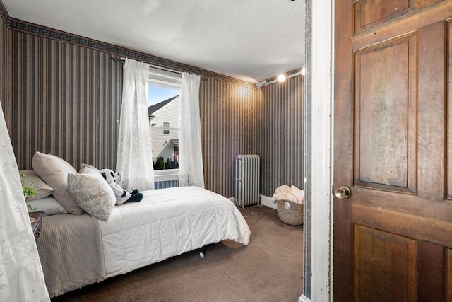 349 Pleasant St, Milton, MA 02186 - bedroom featuring carpet floors, radiator, and a textured ceiling