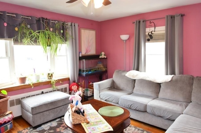 24 Dorothy Ave, Dracut, MA 01826 - living room featuring ceiling fan, radiator heating unit, and wood finished floors
