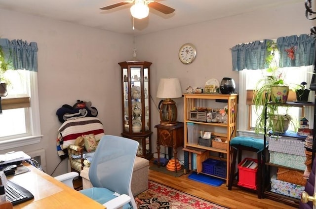 24 Dorothy Ave, Dracut, MA 01826 - office featuring wood finished floors and ceiling fan