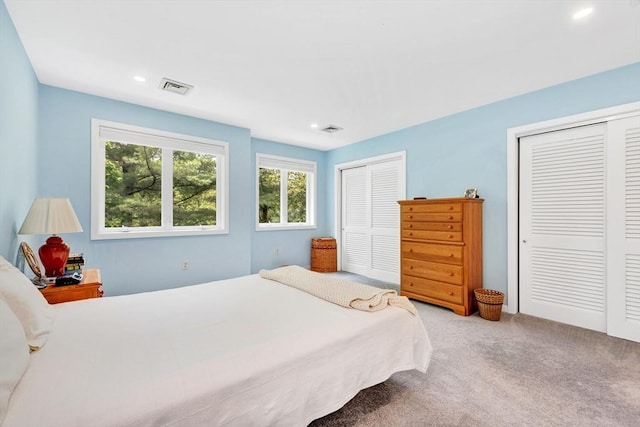 14 Michaels Grn Unit 14, Woburn, MA 01801 - bedroom with two closets, carpet, and recessed lighting