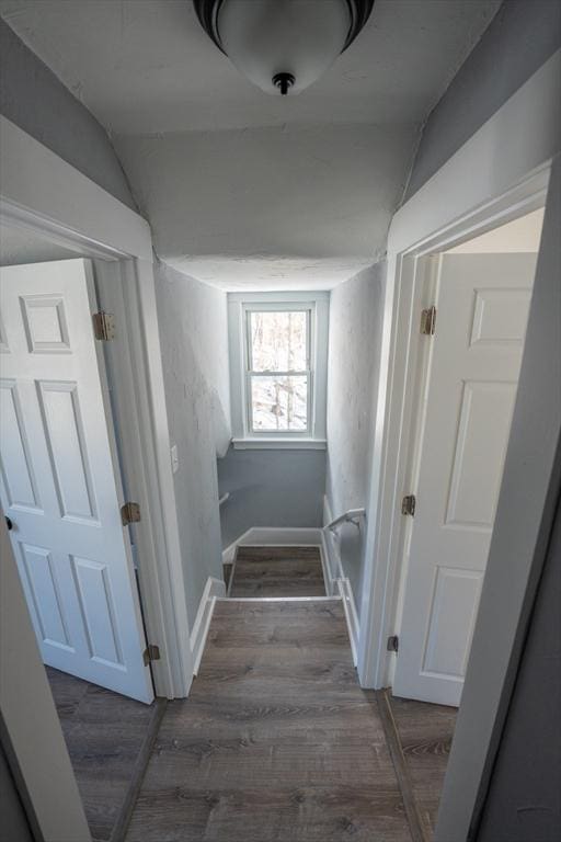 hall with lofted ceiling and wood finished floors