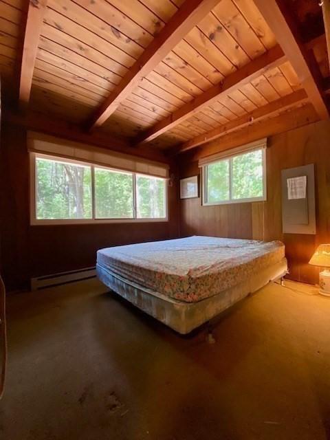 64E Old Princeton Rd, Hubbardston, MA 01452 - carpeted bedroom with a baseboard radiator, a wooden ceiling with exposed beams, wood walls, and pool table