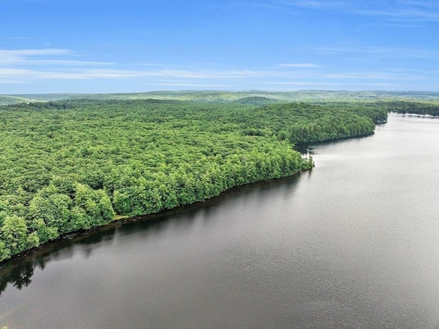 64E Old Princeton Rd, Hubbardston, MA 01452 - aerial view of a nearby body of water and a forest