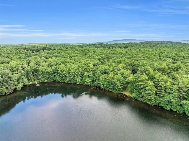 64E Old Princeton Rd, Hubbardston, MA 01452 - aerial view of property and surrounding area featuring a heavily wooded area and a large body of water