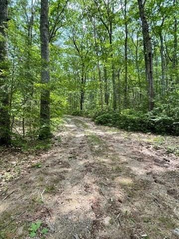 64E Old Princeton Rd, Hubbardston, MA 01452 - view of tree filled area