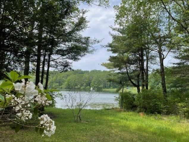 64E Old Princeton Rd, Hubbardston, MA 01452 - water view with a heavily wooded area