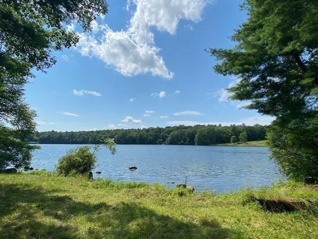 64E Old Princeton Rd, Hubbardston, MA 01452 - water view with a forest