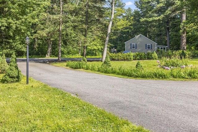 34 Clubhouse Ln, Natick, MA 01760 - view of road with street lighting and a forest view