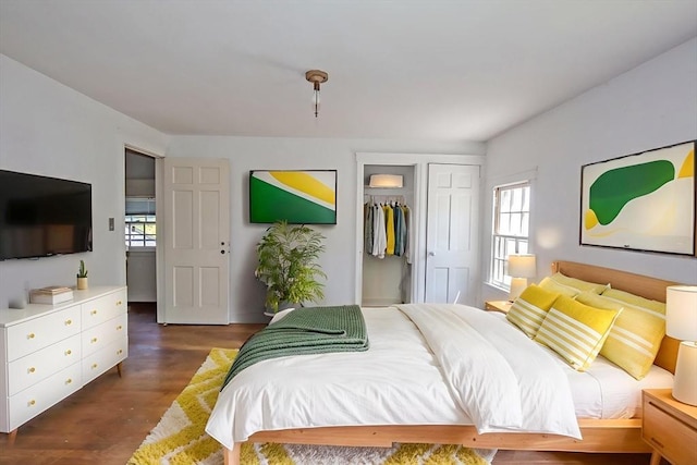 112 Harmon Ave, Springfield, MA 01118 - bedroom featuring dark wood finished floors