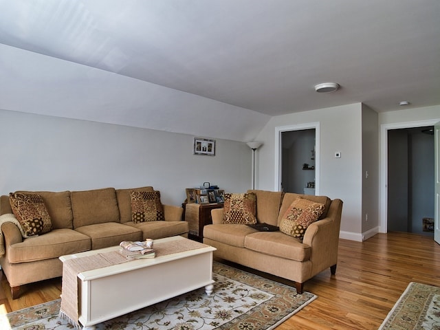 living room featuring wood-type flooring