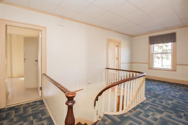 hall with a drop ceiling, dark carpet, and crown molding