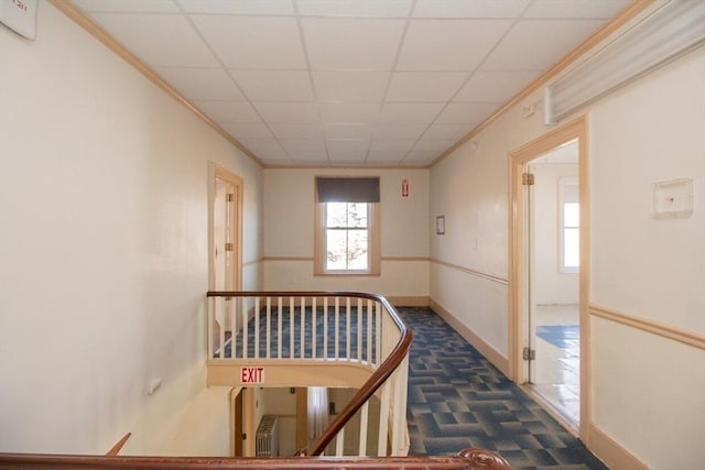 corridor with a drop ceiling and ornamental molding