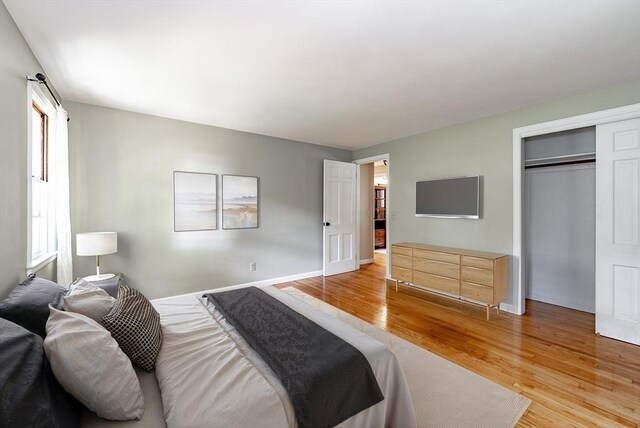 759 Williams St, Longmeadow, MA 01106 - bedroom featuring light wood-style floors, a closet, and multiple windows