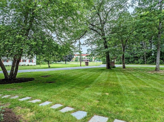 759 Williams St, Longmeadow, MA 01106 - view of green lawn