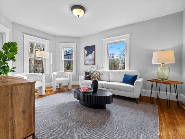 living room with baseboards and wood finished floors