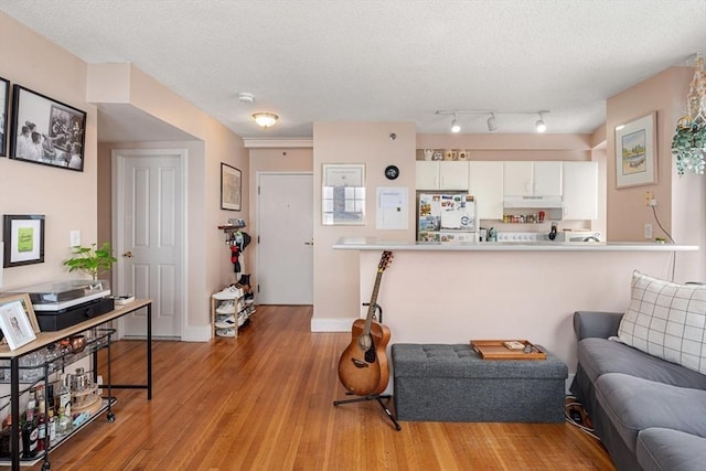 living room featuring light wood-type flooring and a textured ceiling