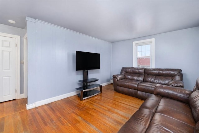 living room featuring wood-type flooring