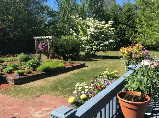 view of green lawn