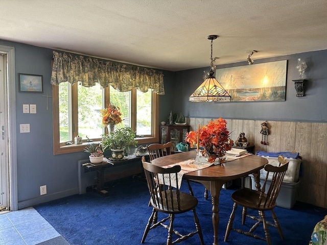 23 Rhodes Cir, Hingham, MA 02043 - carpeted dining space with plenty of natural light and a textured ceiling