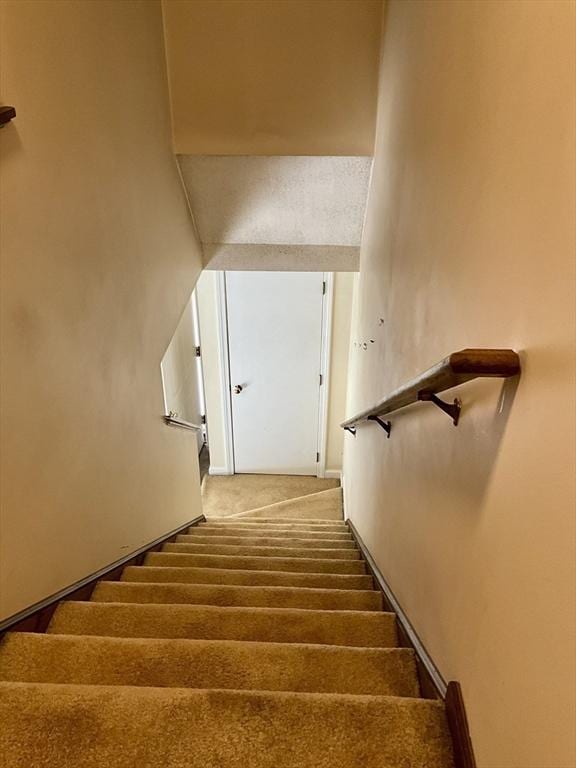 stairway with carpet