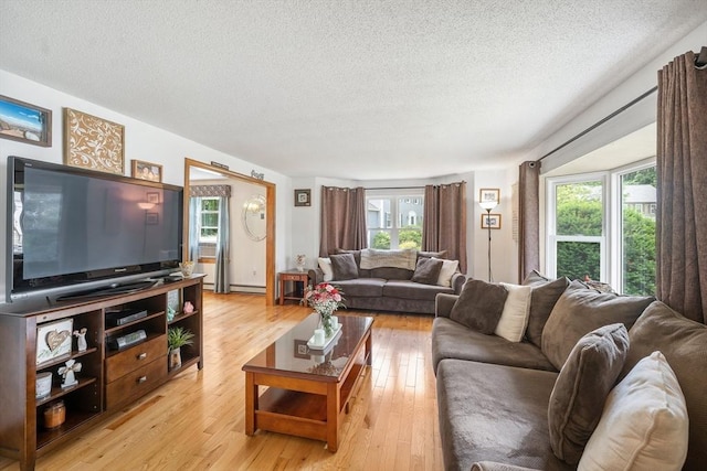 10 Manoogian Cir, Milford, MA 01757 - living room with a textured ceiling, healthy amount of natural light, light wood finished floors, and a baseboard radiator