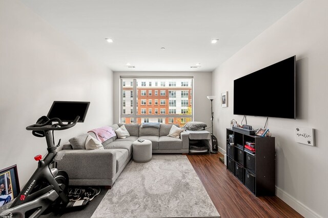 living room featuring dark wood-type flooring