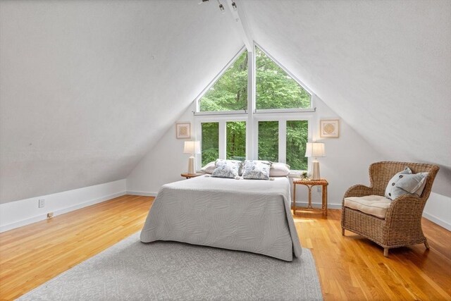 13 Long Ridge Rd, Acton, MA 01720 - bedroom featuring wood finished floors and lofted ceiling