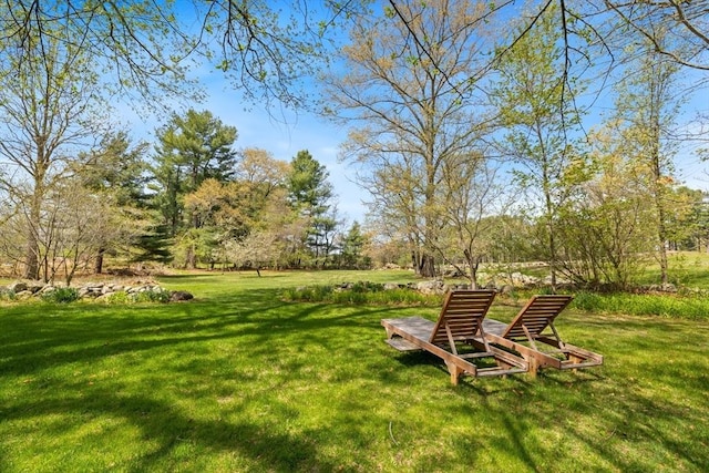 view of green lawn