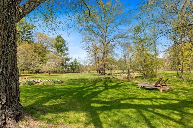 view of green lawn