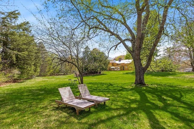 view of grassy yard