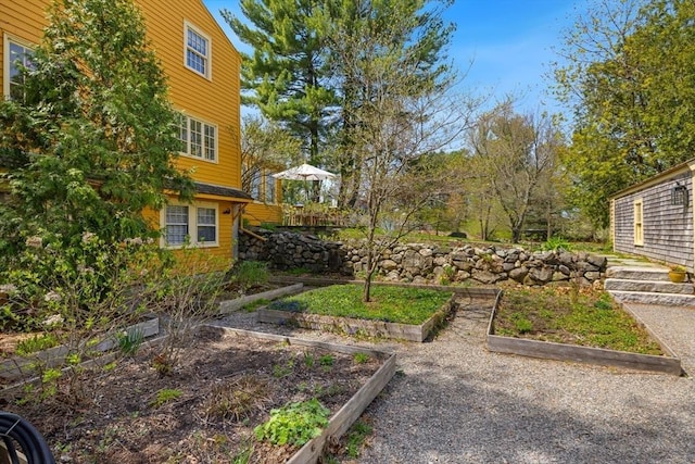 view of yard with a vegetable garden
