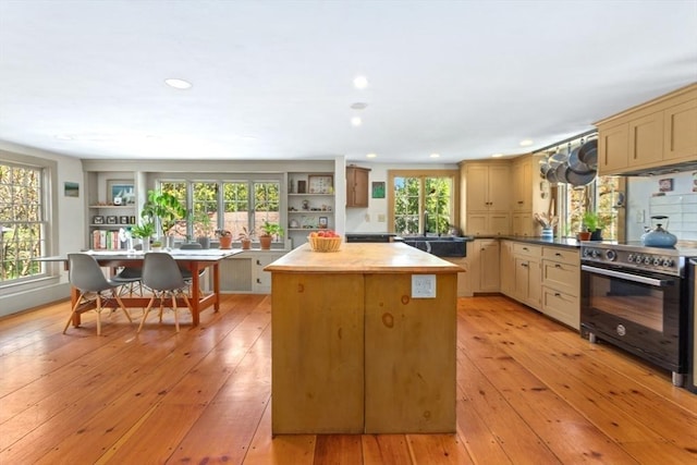 kitchen with black electric range oven, a kitchen island, plenty of natural light, a sink, and recessed lighting