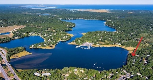 drone / aerial view with a water view