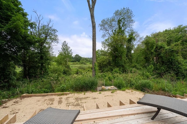 410 Central St, Acton, MA 01720 - view of yard