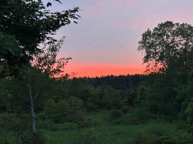 410 Central St, Acton, MA 01720 - view of woods
