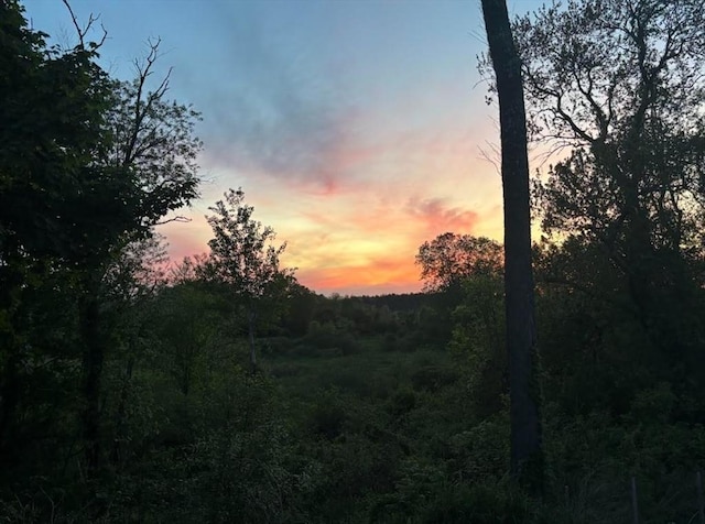 410 Central St, Acton, MA 01720 - view of undeveloped land