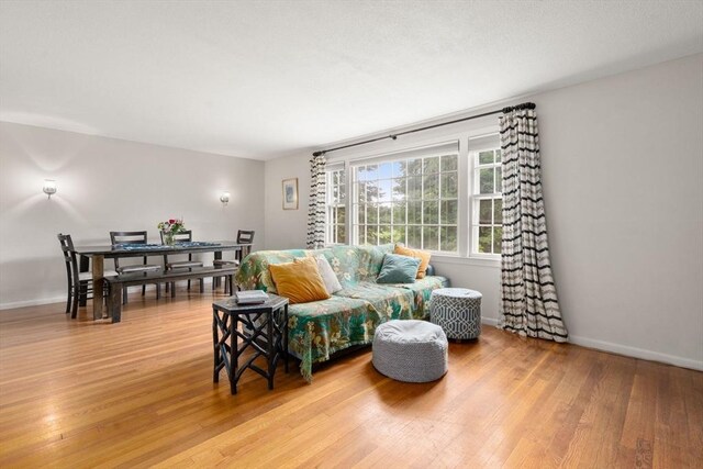 410 Central St, Acton, MA 01720 - living area featuring light wood finished floors