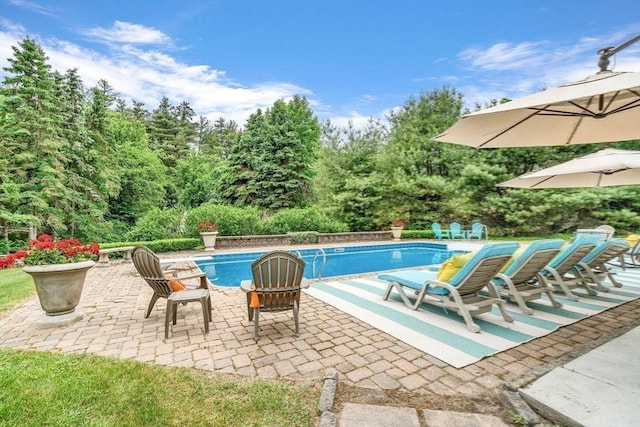 view of pool with a patio area