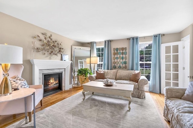 living room featuring a fireplace and light hardwood / wood-style floors