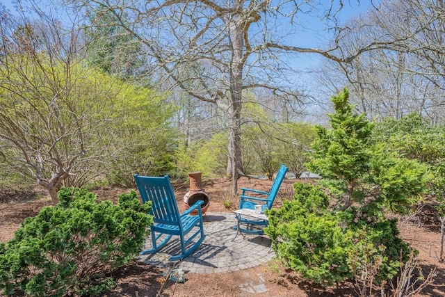view of yard with a patio
