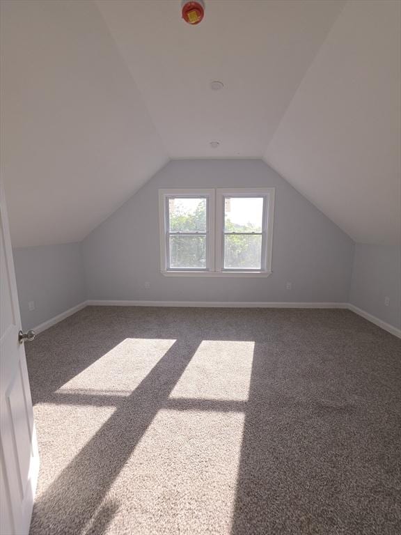bonus room featuring carpet, vaulted ceiling, and baseboards