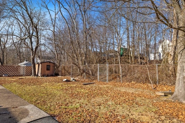 view of yard with a storage unit